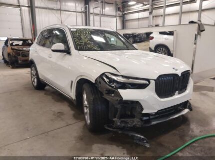 5UXCR6C01P9N87802 2023 BMW