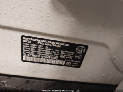 5UXCR6C01P9N87802 2023 BMW