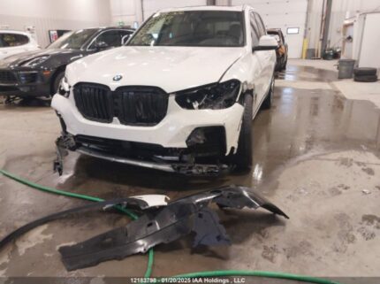 5UXCR6C01P9N87802 2023 BMW