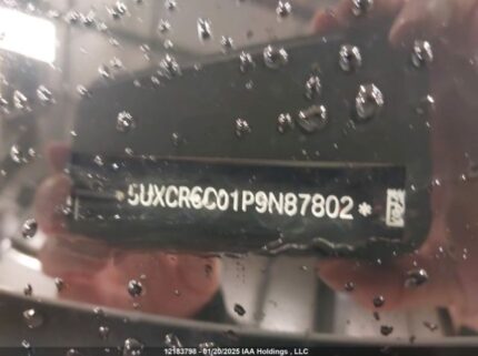 5UXCR6C01P9N87802 2023 BMW