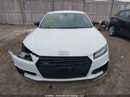 TRUA1AFV1M1005160 2021 AUDI