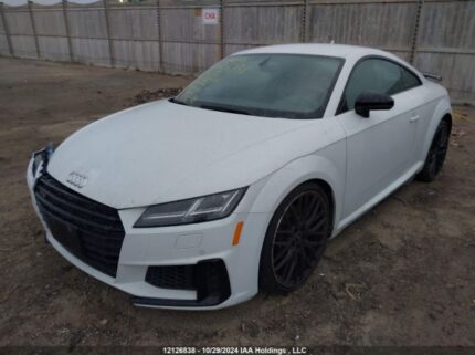 TRUA1AFV1M1005160 2021 AUDI