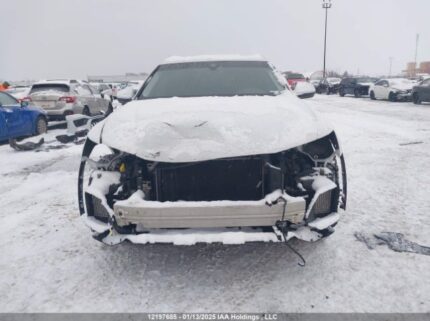 WA1AVAF16KD010648 2019 AUDI