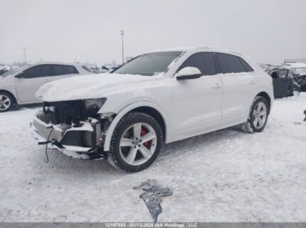 WA1AVAF16KD010648 2019 AUDI