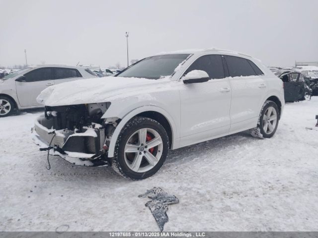 WA1AVAF16KD010648 2019 AUDI