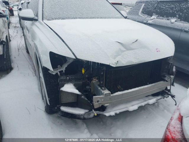 WA1AVAF16KD010648 2019 AUDI