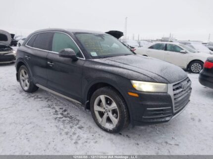 WA1BNAFY1K2056480 2019 AUDI