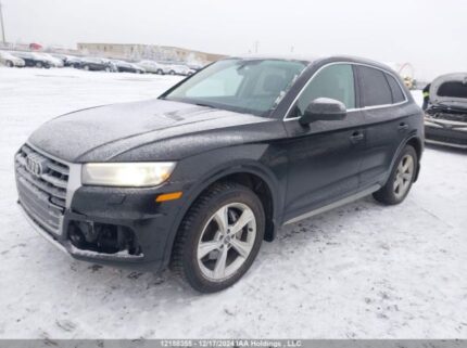WA1BNAFY1K2056480 2019 AUDI