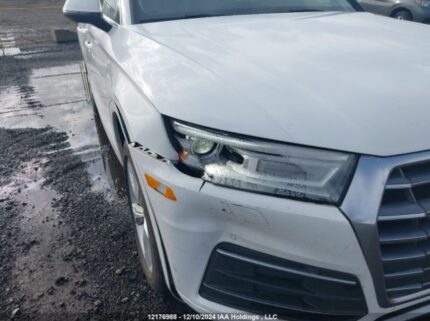 WA1BNAFY6K2138771 2019 AUDI