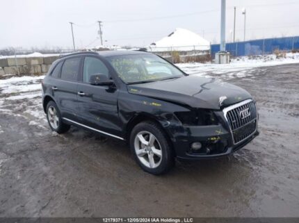 WA1C2AFP2HA050187 2017 AUDI