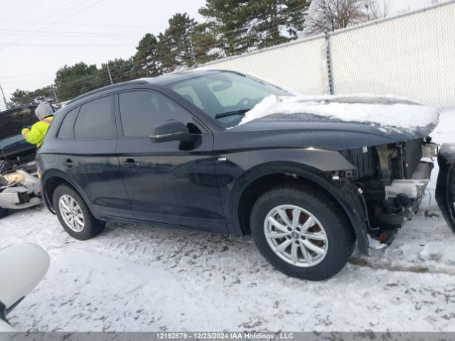 WA1EAAFY6P2016458 2023 AUDI
