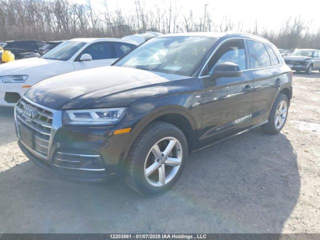 WA1FNAFY0K2045181 2019 AUDI