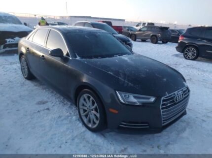 WAUBNAF42HN041798 2017 AUDI