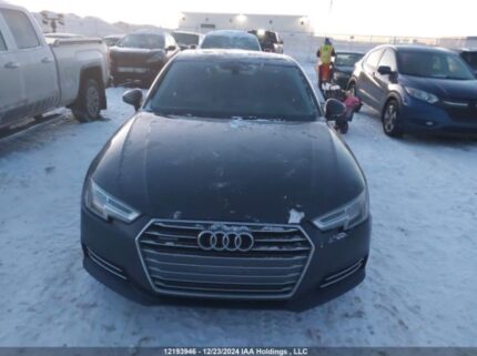 WAUBNAF42HN041798 2017 AUDI