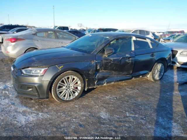 WAUC4CF5XKA040716 2019 AUDI