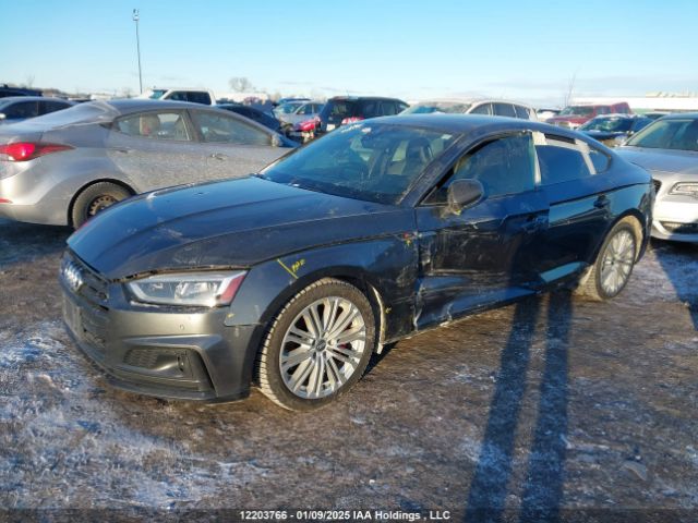WAUC4CF5XKA040716 2019 AUDI