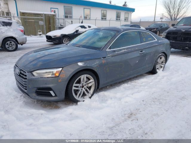 WAUPNAF53KA034761 2019 AUDI