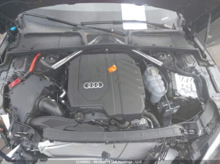 WAUUAAF50RA030031 2024 AUDI