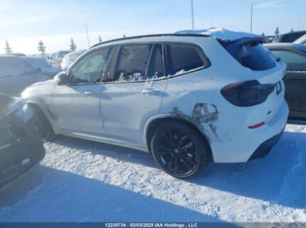 5UXTY9C07L9B17520 2020 BMW