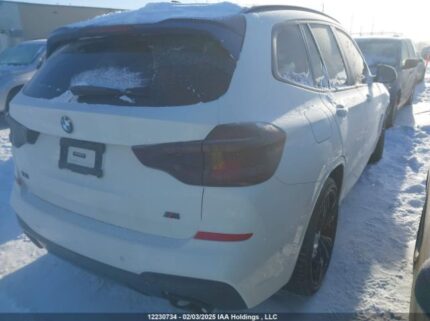 5UXTY9C07L9B17520 2020 BMW