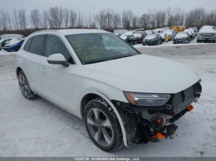 WA1AAAFY1R2066783 2024 AUDI