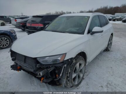 WA1AAAFY1R2066783 2024 AUDI