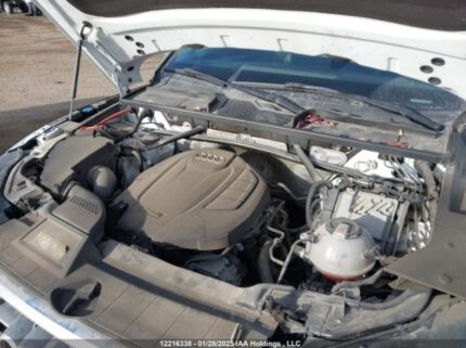 WA1CNAFY7K2066905 2019 AUDI