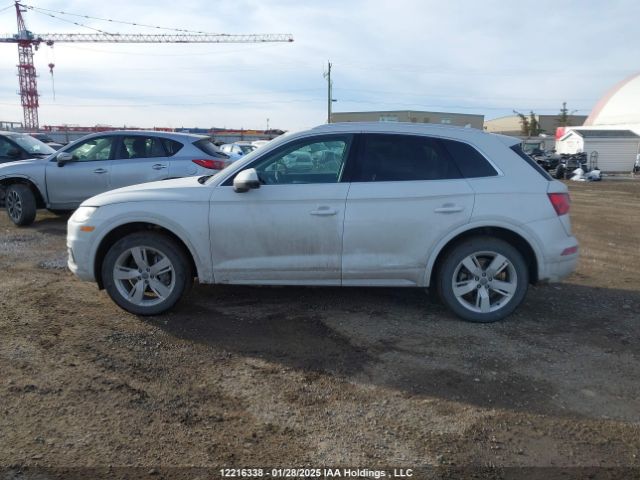 WA1CNAFY7K2066905 2019 AUDI