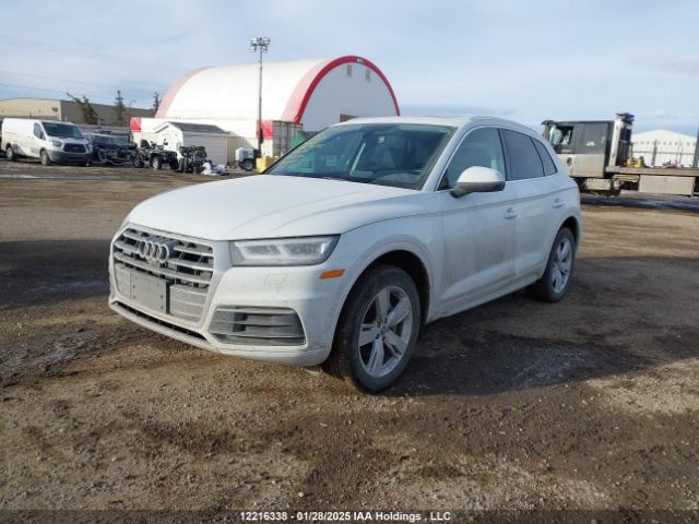 WA1CNAFY7K2066905 2019 AUDI