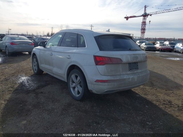 WA1CNAFY7K2066905 2019 AUDI