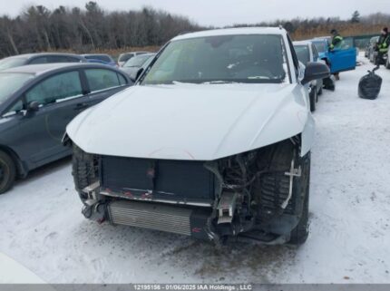 WA1ENAFY4L2043253 2020 AUDI