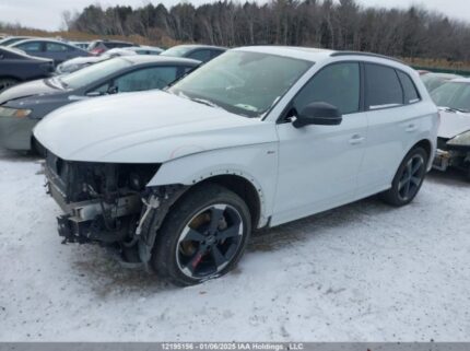 WA1ENAFY4L2043253 2020 AUDI