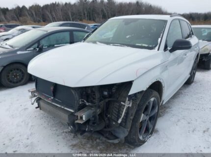 WA1ENAFY4L2043253 2020 AUDI