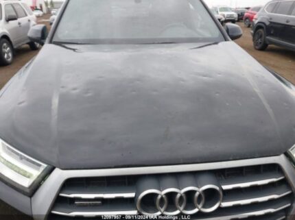 WA1LAAF78KD049568 2019 AUDI