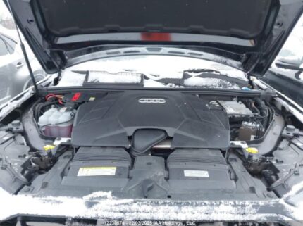WA1WXAF79LD009268 2020 AUDI