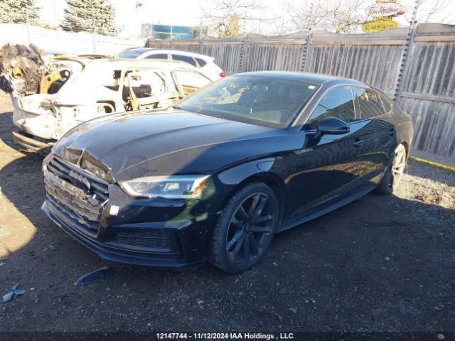 WAUENCF56KA045563 2019 AUDI