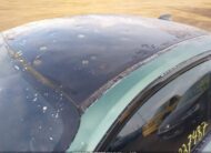 WBS1H9C53GV785919 2016 BMW