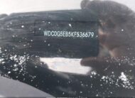 WDC0G5EB5KF536679 2019 MERCEDES-BENZ