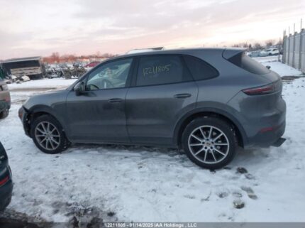 WP1AA2AY9KDA16161 2019 PORSCHE