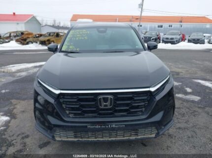 2HKRS4H21RH113745 2024 HONDA