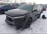 2HKRS4H57RH113842 2024 HONDA
