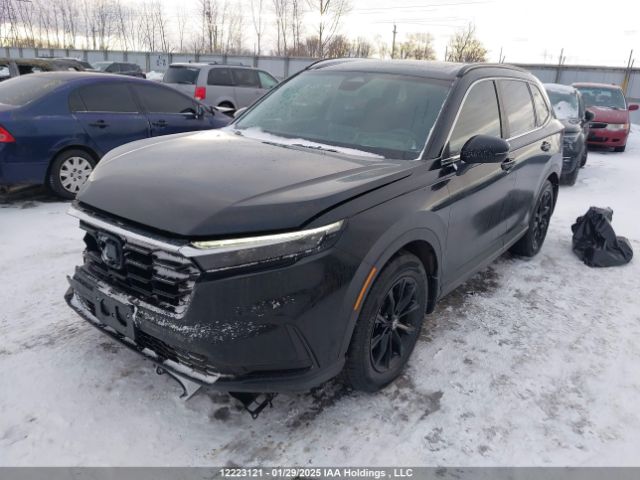 2HKRS4H57RH113842 2024 HONDA