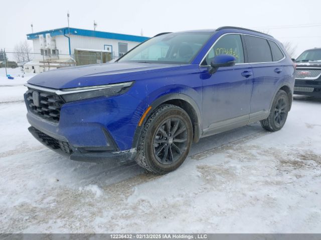 2HKRS4H59RH110571 2024 HONDA