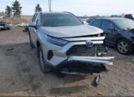 2T34WRFVXRW221167 2024 TOYOTA