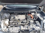 2T34WRFVXRW221167 2024 TOYOTA