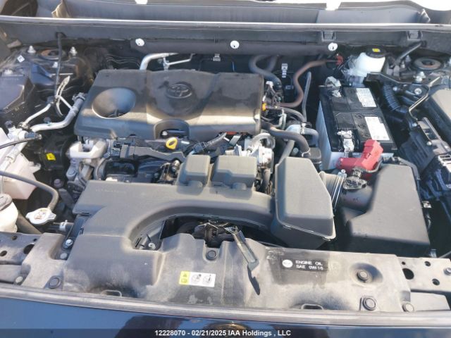 2T3R1RFV3PC324630 2023 TOYOTA