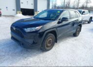 2T3R1RFV3PC324630 2023 TOYOTA