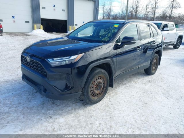 2T3R1RFV3PC324630 2023 TOYOTA