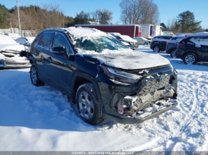 2T3R1RFV4PC387249 2023 TOYOTA