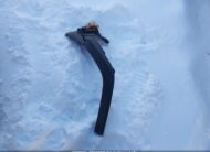 2T3R1RFV4PC387249 2023 TOYOTA